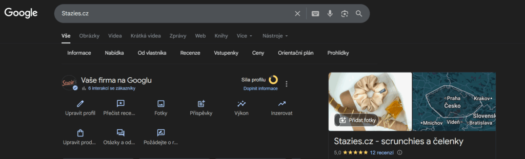 ukázka přístupu do google my business
